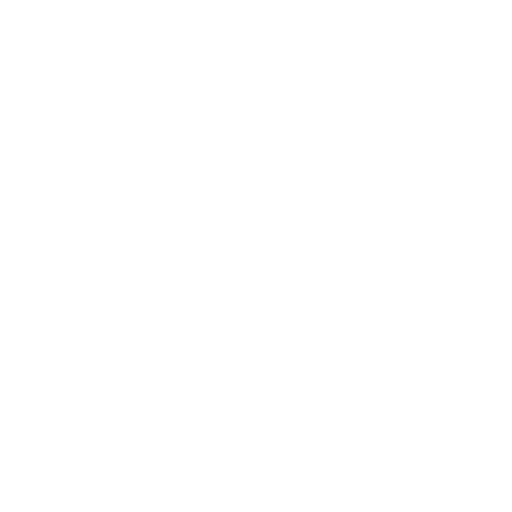 professional cleaner